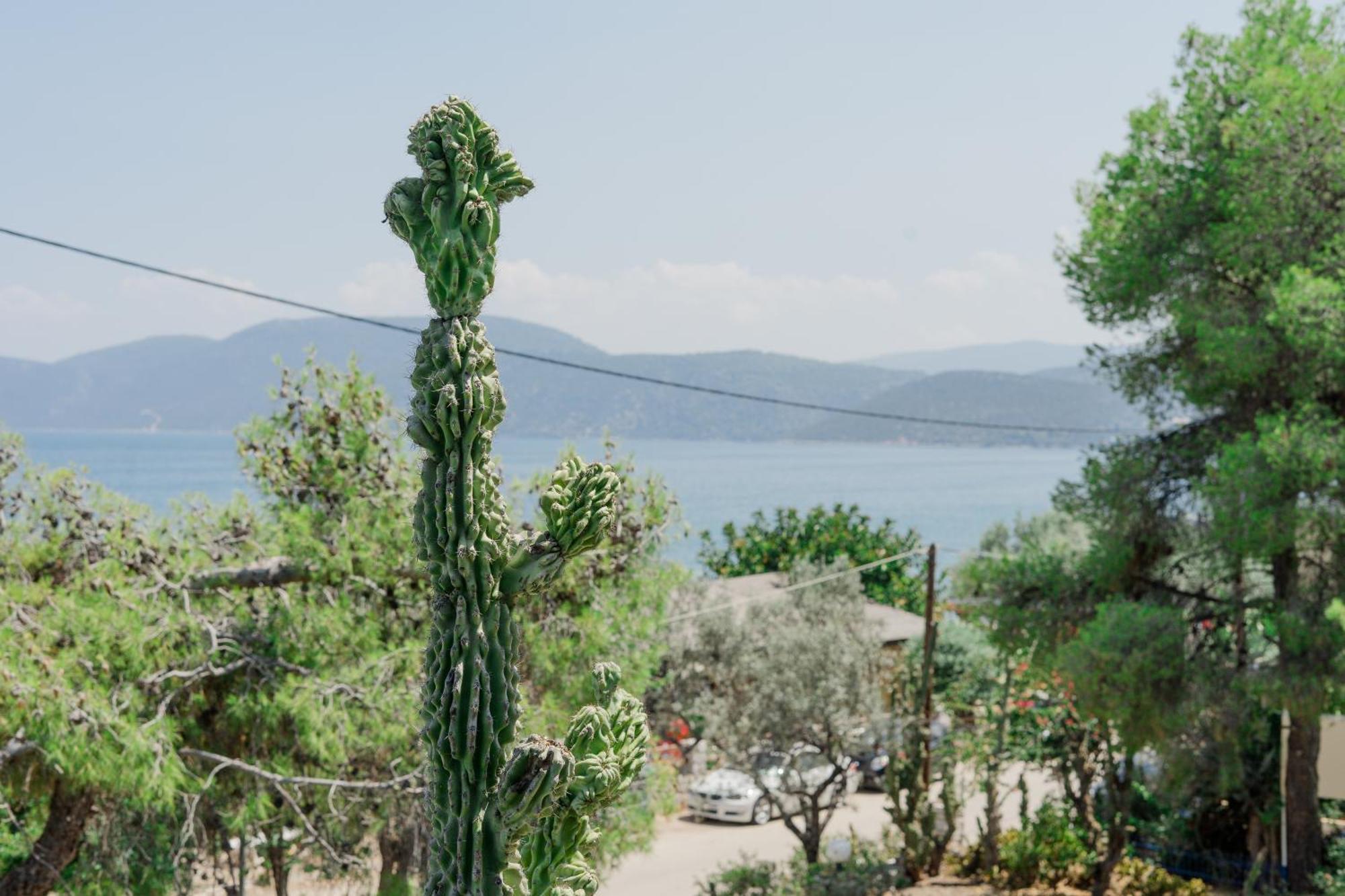 Hotel Korfos - Ξενοδοχείο Κόρφος Renovated Luaran gambar